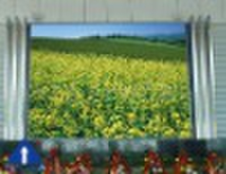 PH16 Outdoor LED Display