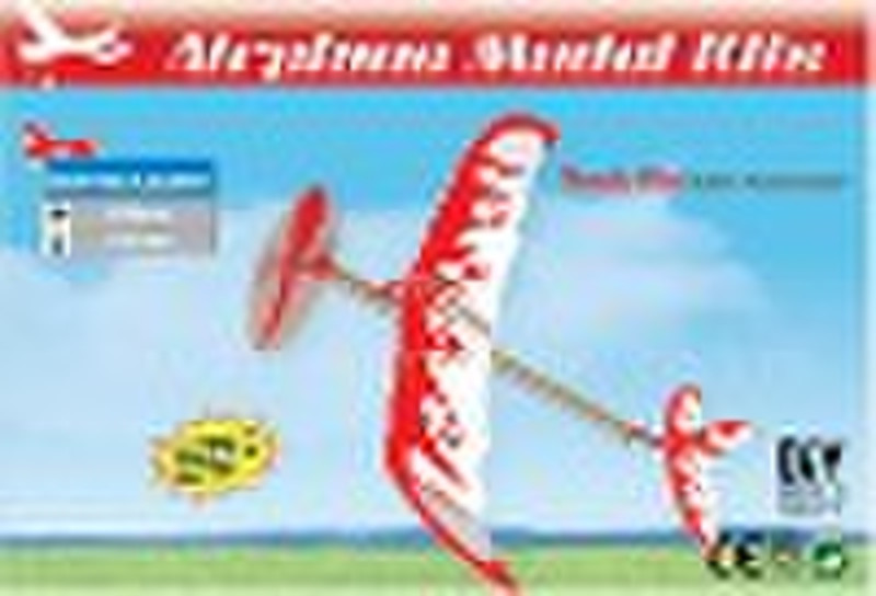 Toy Aeroplane Of Hobby Models