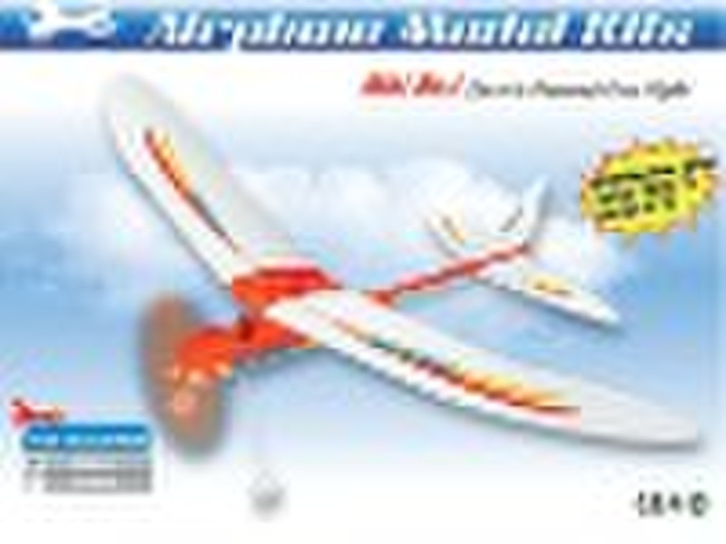 Hobby Free Flight Model Toy