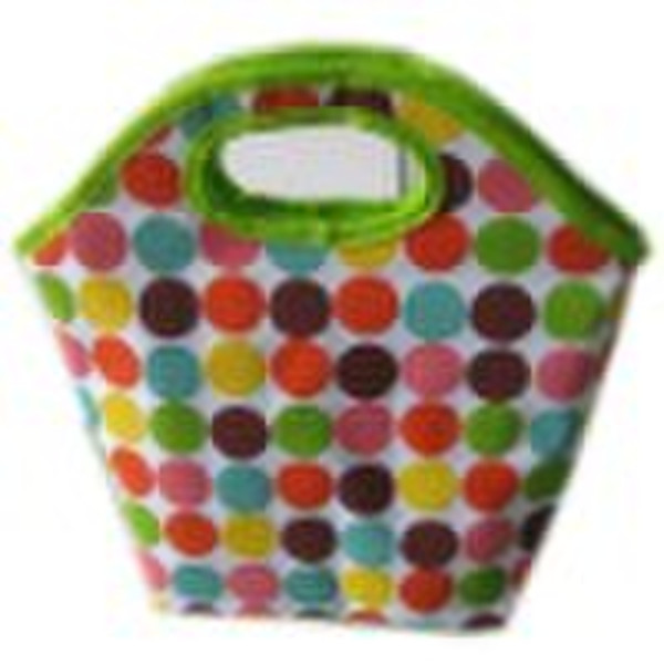 HP-1119 Funtionaland lunch cooler bag