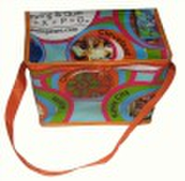 High quality and low price food cooler bag DZNB-03