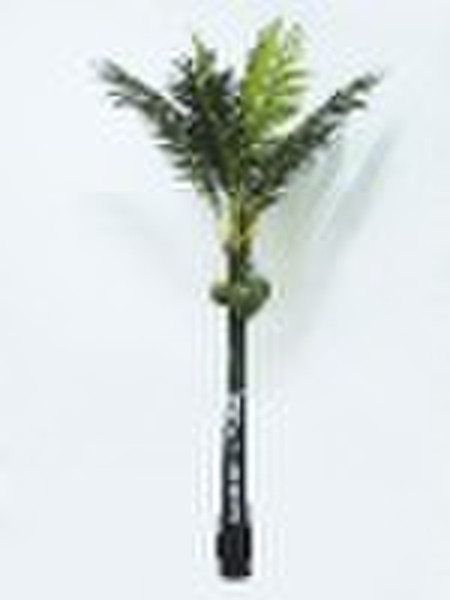 coconut palm tree BT02K25-180