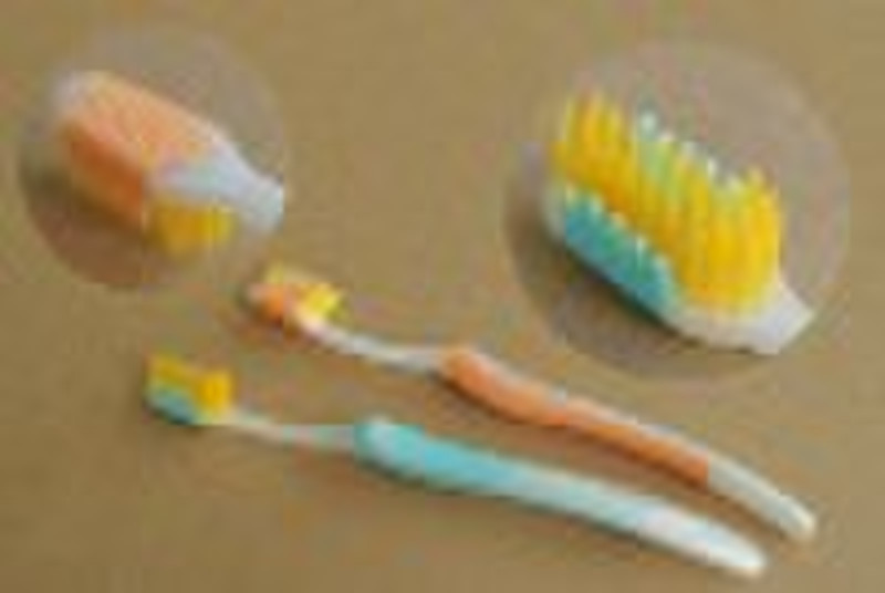 Adult Toothbrush/Toothbrush