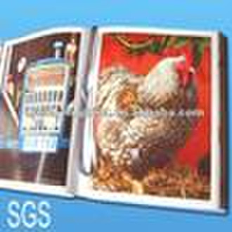 Hardcover catalogue printing