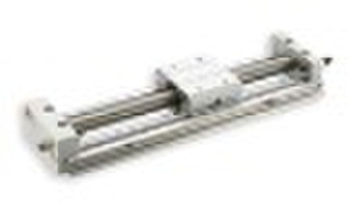 Double Rodless Pneumatic Cylinder (CY1S Series )