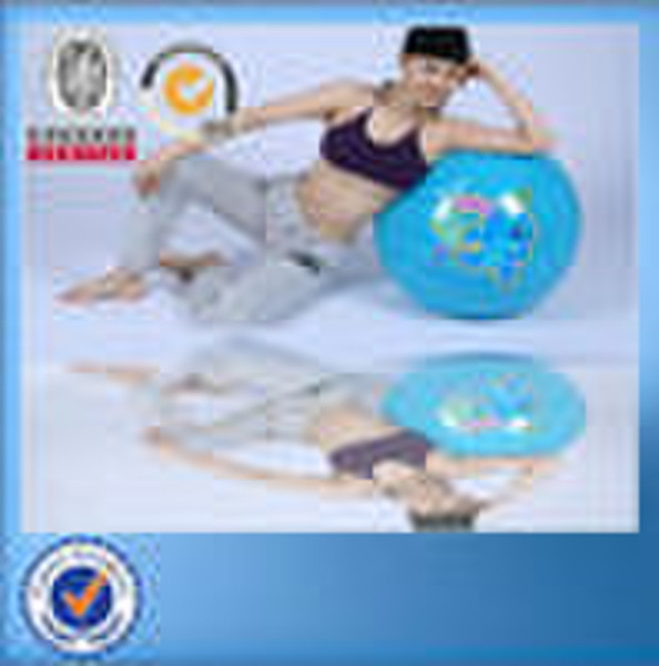 Gym Ball (yoga ball / fitness ball)