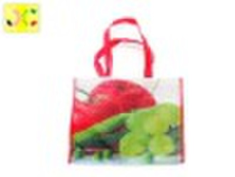 PP Non Woven Shopping Bags