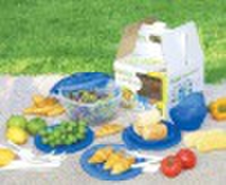 picnic camping set