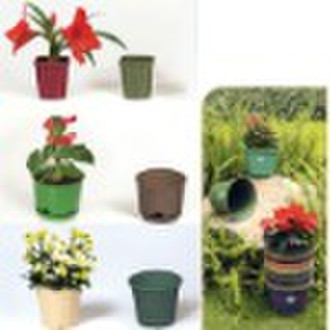 Biodegradable Flower Pot