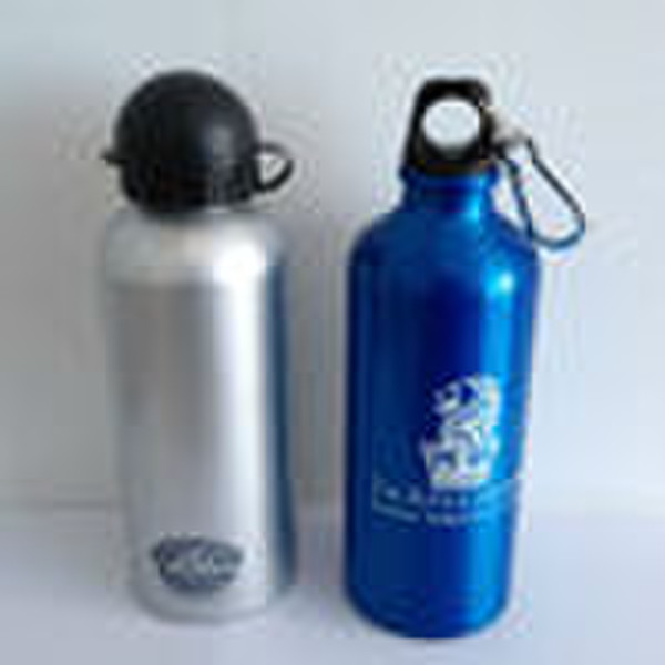 Aluminum Travel Bottle (FDA test,BPA Free) 600ml