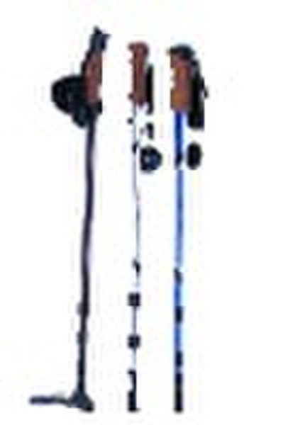 Nordic walking sticks