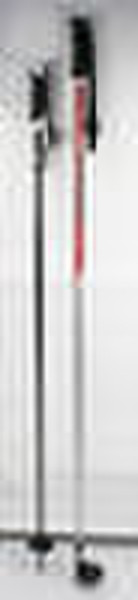 ski pole