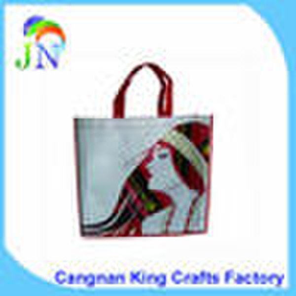 Eco-friendly  PP Non Woven Bag