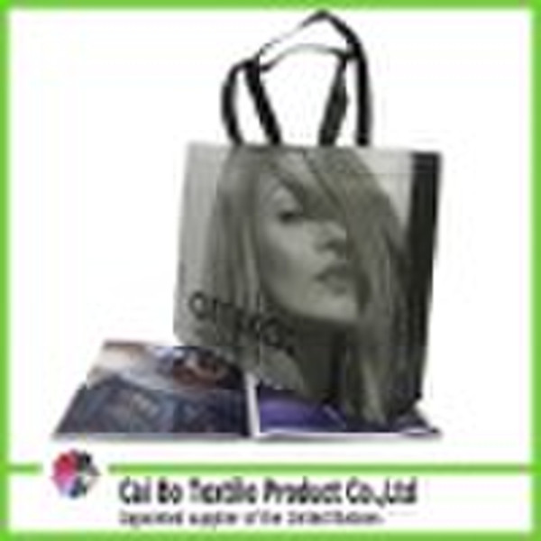 2010 PP-Vlies Tasche (B19)