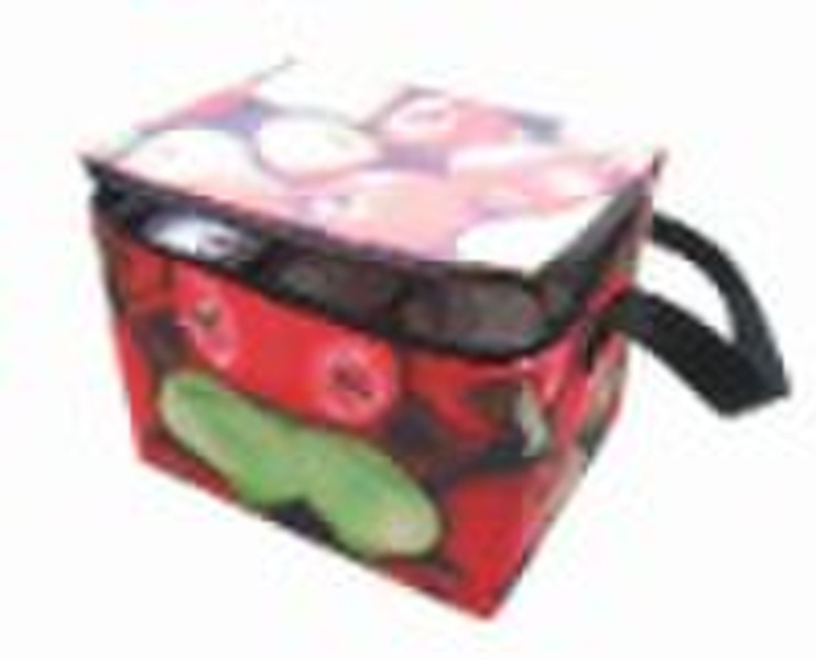 cooler bag for frozen food