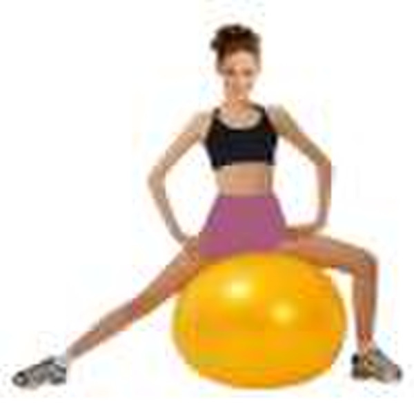 Fittness Ball (Gym Ball)