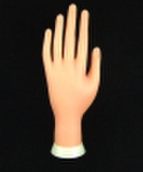Training Hand/Finger PH-02A