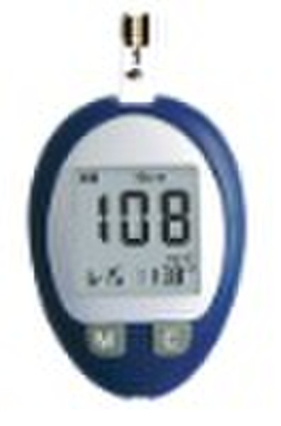blood glucose monitoring system