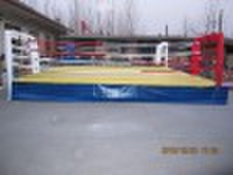 2011 Professional / Hot Sell Boxring