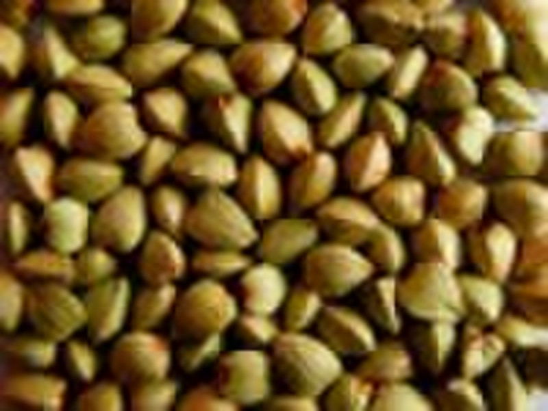 Organic Buckwheat Kernels