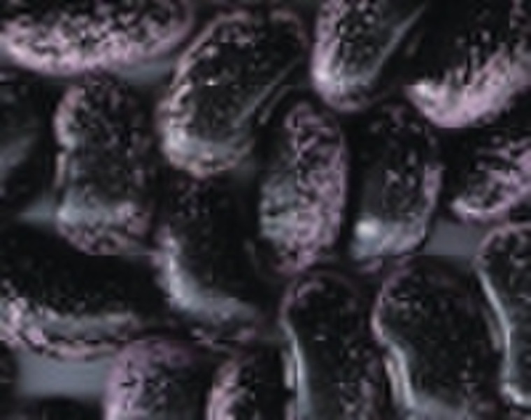 Organic Large Black Speckled Kidney Bean