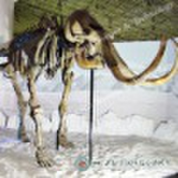 Животное Скелет Модель музея Mammuthus