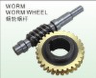 worm wheel