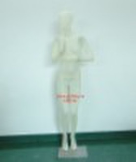 transparent mannequin