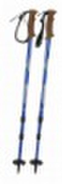 nordic walking stick