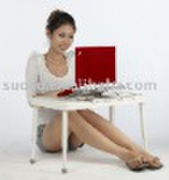 Portable laptop desk with radiationproof and two U