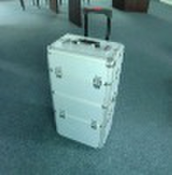 cosmetic trolly case