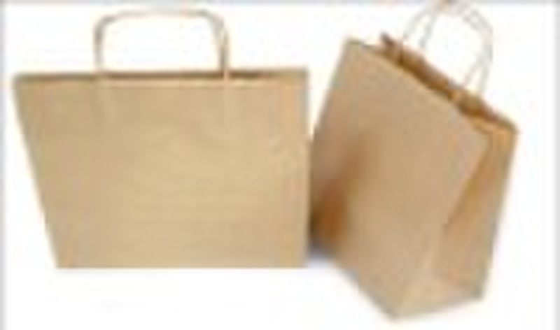 2010 new promotion color paper bag
