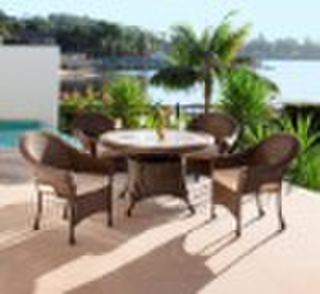 Garden PE Rattan Dinning Set 319DS