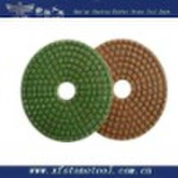 Diamond Polishing pads for Ceramic