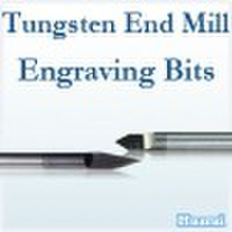 Guangzhou Carbide Tungsten End Mill Engraving Tool