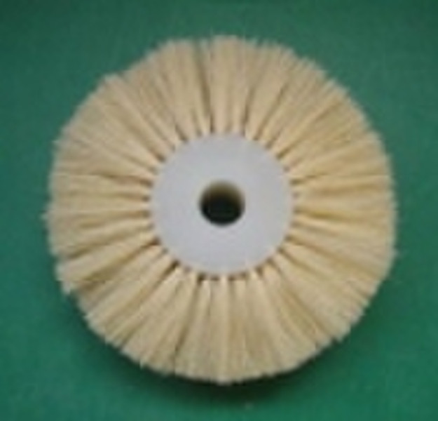 disk brush