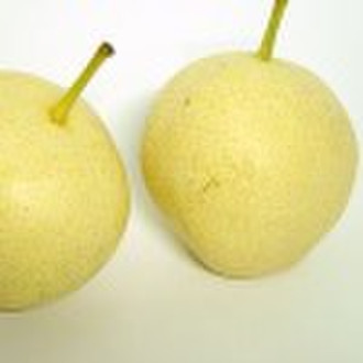 Zao su pear