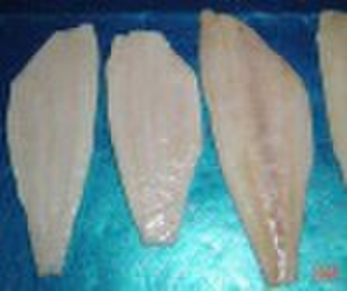 arrow tooth flounder