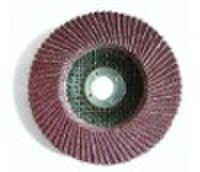 Flap Disc of Alumium Oxide