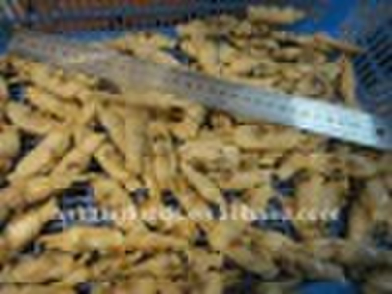 frozen boiled razor clam meat