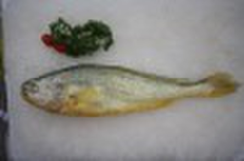 Frozen Yellow Croaker