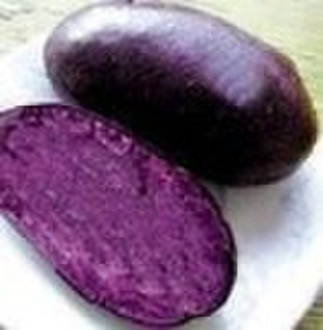 紫色的土豆