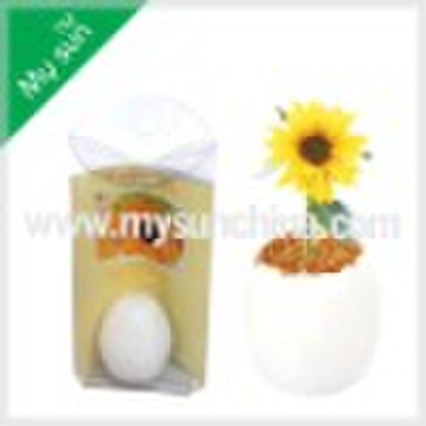 magic egg ,egg flower ,ceramic egg ,mini plant