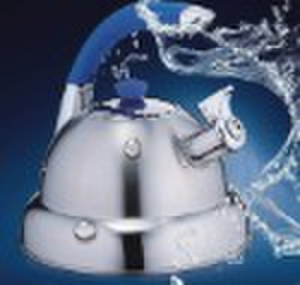 Stainless steel Kettle