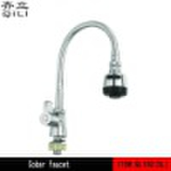 QL102(SL) Kitchen Faucet