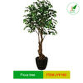 Artificial Ficus Tree