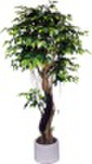 Artificial Ficus Tree