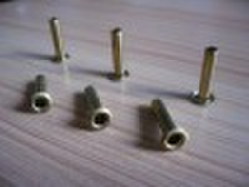 Deep drawing hollow rivet