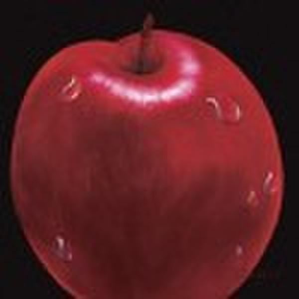 still life oil painting