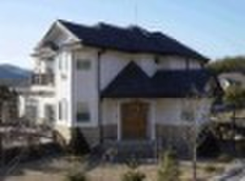 steel structure - house